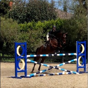 Meet your Posher, Morgan